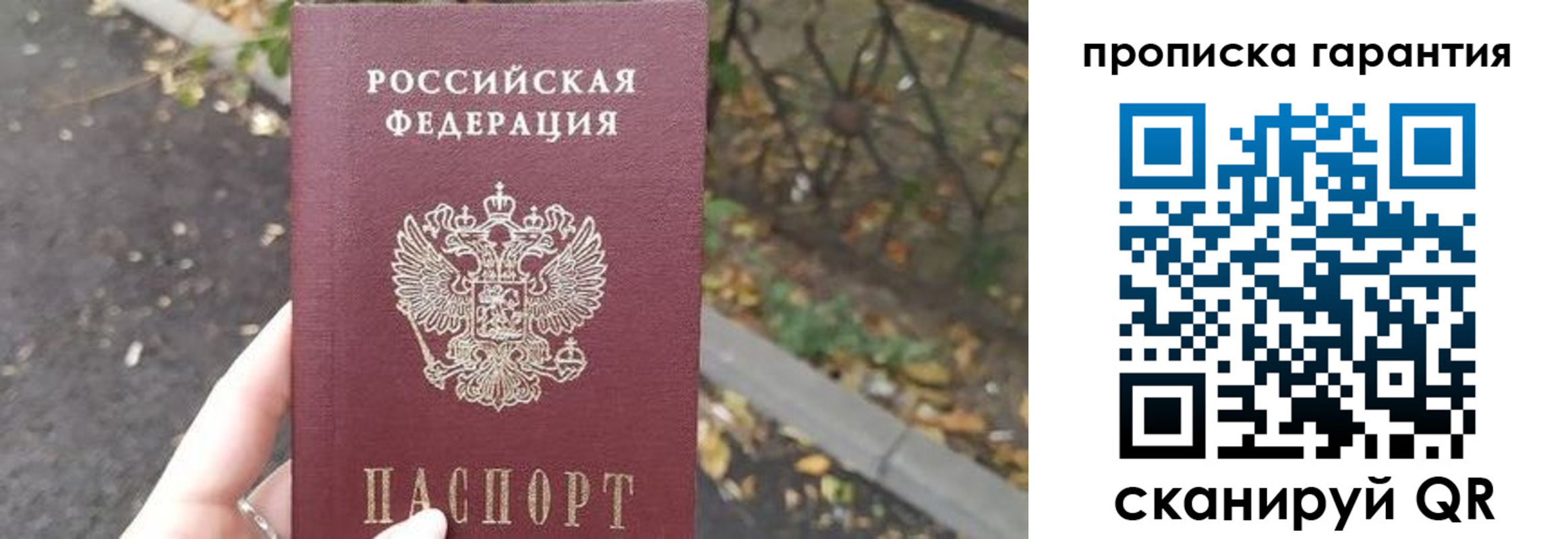 где прописаться в Коле